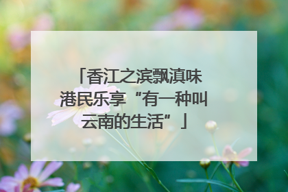 香江之滨飘滇味 港民乐享“有一种叫云南的生活”