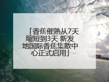 香蕉催熟从7天缩短到3天 新发地国际香蕉集散中心正式启用