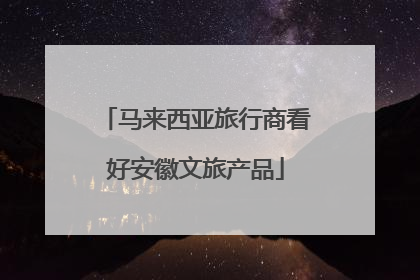 马来西亚旅行商看好安徽文旅产品