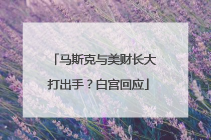 马斯克与美财长大打出手？白宫回应