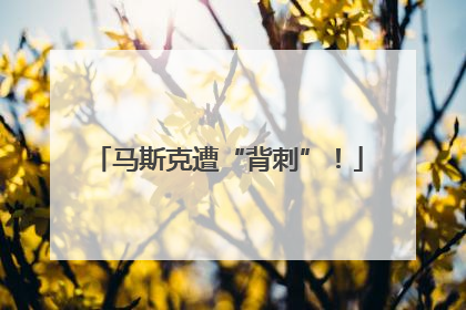 马斯克遭“背刺”！
