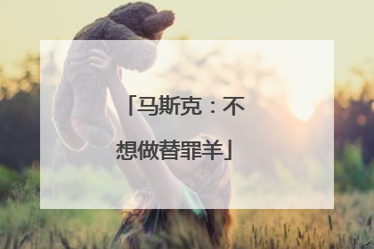 马斯克：不想做替罪羊