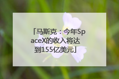 马斯克：今年SpaceX的收入将达到155亿美元
