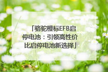 骆驼橙标EFB启停电池：引领高性价比启停电池新选择