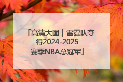 高清大图｜雷霆队夺得2024-2025赛季NBA总冠军