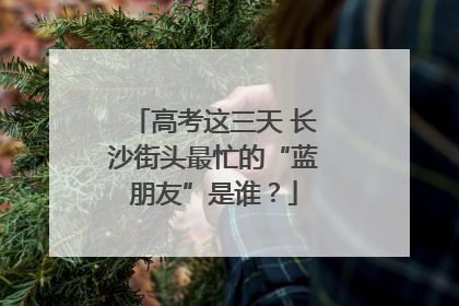 高考这三天 长沙街头最忙的“蓝朋友”是谁？