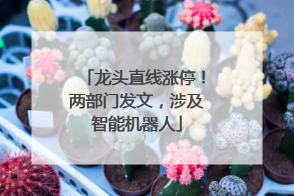 龙头直线涨停！两部门发文，涉及智能机器人