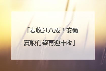 麦收过八成！安徽夏粮有望再迎丰收
