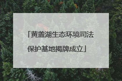黄盖湖生态环境司法保护基地揭牌成立