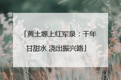 黄土塬上红军泉：千年甘甜水 浇出振兴路
