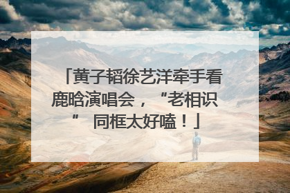 黄子韬徐艺洋牵手看鹿晗演唱会，“老相识” 同框太好嗑！