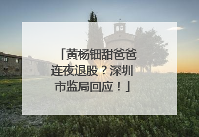 黄杨钿甜爸爸连夜退股？深圳市监局回应！