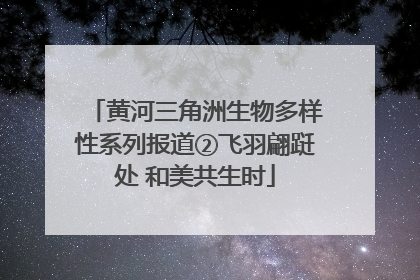 黄河三角洲生物多样性系列报道②飞羽翩跹处 和美共生时