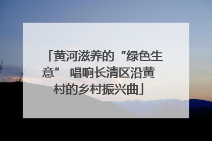 黄河滋养的“绿色生意” 唱响长清区沿黄村的乡村振兴曲