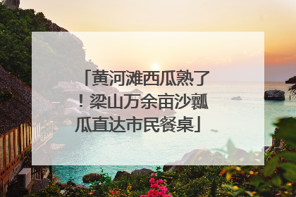 黄河滩西瓜熟了！梁山万余亩沙瓤瓜直达市民餐桌