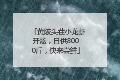 黄陂头茬小龙虾开炫，日供8000斤，快来尝鲜