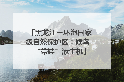 黑龙江三环泡国家级自然保护区：候鸟“带娃”添生机