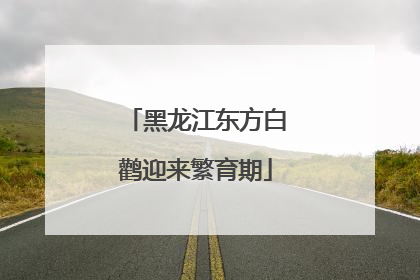 黑龙江东方白鹳迎来繁育期