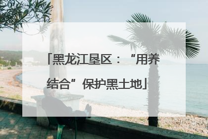 黑龙江垦区：“用养结合”保护黑土地