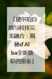 黛尔珀自然与科技完美融合：揭秘d'Alba全新焕彩四重奏