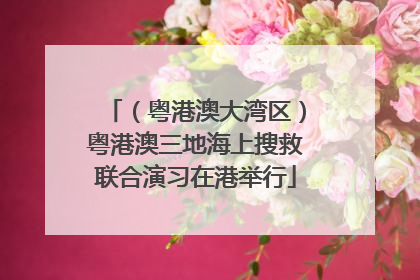 （粤港澳大湾区）粤港澳三地海上搜救联合演习在港举行