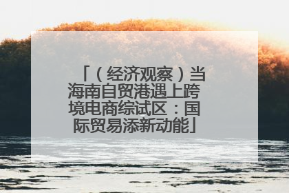 （经济观察）当海南自贸港遇上跨境电商综试区：国际贸易添新动能