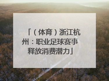 （体育）浙江杭州：职业足球赛事释放消费潜力