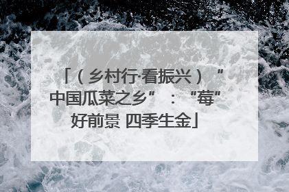 （乡村行·看振兴）“中国瓜菜之乡”：“莓”好前景 四季生金