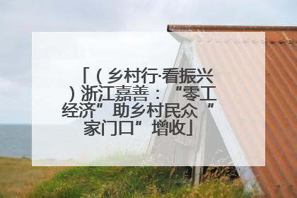 （乡村行·看振兴）浙江嘉善：“零工经济”助乡村民众“家门口”增收