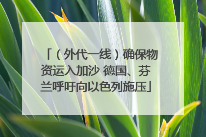 （外代一线）确保物资运入加沙 德国、芬兰呼吁向以色列施压
