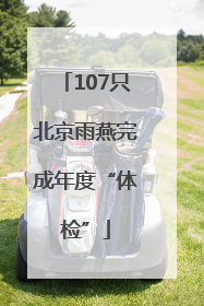 107只北京雨燕完成年度“体检”
