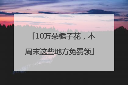 10万朵栀子花，本周末这些地方免费领