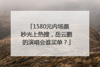 1580元内场票秒光上热搜，岳云鹏的演唱会谁买单？
