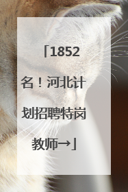 1852名！河北计划招聘特岗教师→
