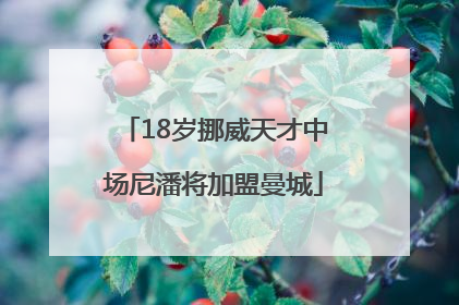 18岁挪威天才中场尼潘将加盟曼城