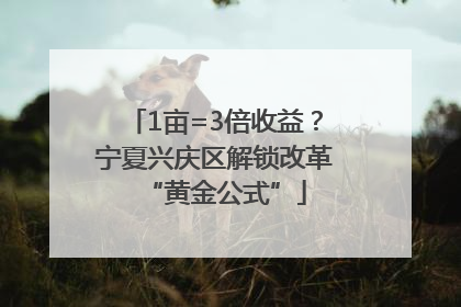 1亩=3倍收益？宁夏兴庆区解锁改革“黄金公式”