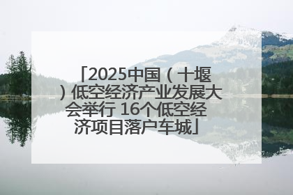 2025中国（十堰）低空经济产业发展大会举行 16个低空经济项目落户车城