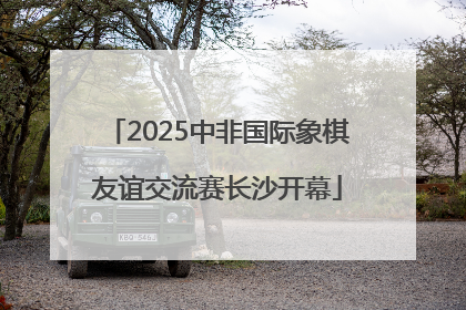 2025中非国际象棋友谊交流赛长沙开幕