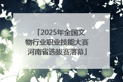 2025年全国文物行业职业技能大赛河南省选拔赛落幕
