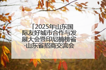 2025年山东国际友好城市合作与发展大会暨印尼楠榜省·山东省招商交流会在济南槐荫举行