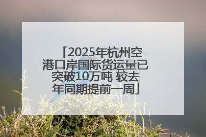 2025年杭州空港口岸国际货运量已突破10万吨 较去年同期提前一周