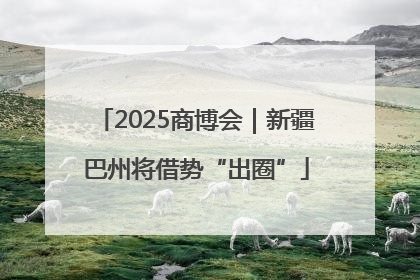 2025商博会｜新疆巴州将借势“出圈”