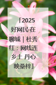 2025好网民·在聊城｜杜秀红：网线连乡土 丹心映桑梓