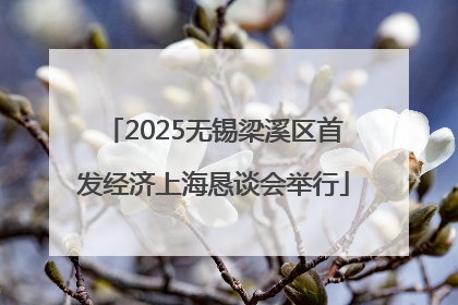 2025无锡梁溪区首发经济上海恳谈会举行