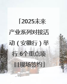 2025未来产业系列对接活动（安徽行）举行 6个重点项目现场签约