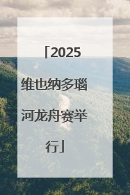 2025维也纳多瑙河龙舟赛举行