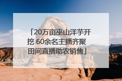 20万亩巫山洋芋开挖 60余名主播齐聚田间直播助农销售
