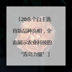 20余个自主选育新品种亮相，全面展示农业科技的“青岛力量”