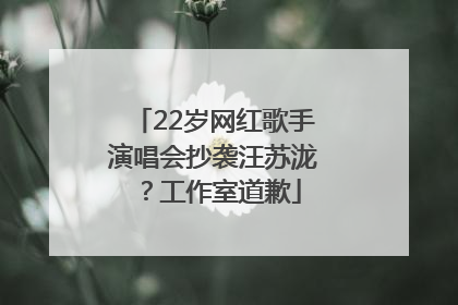 22岁网红歌手演唱会抄袭汪苏泷？工作室道歉