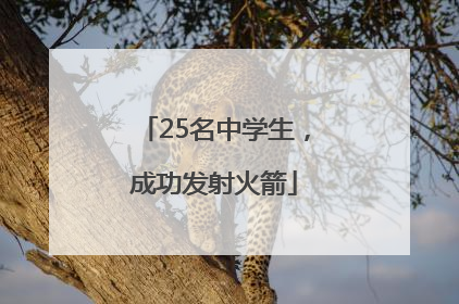 25名中学生，成功发射火箭